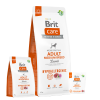 Brit Care Alimento Seco para Perros Hipoalergénico, Adulto, Raza Mediana, Cordero, bolsa de 1-3-12 kg
