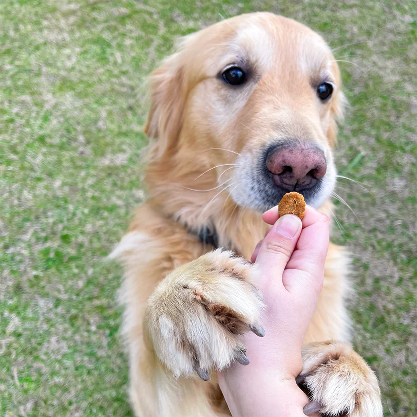 <strong>Wuaf</strong> Receta Casera, Snack Natural para Perros, Galletitas Carne de Res Zanahoria, bolsa de 100 gr - Imagen 4