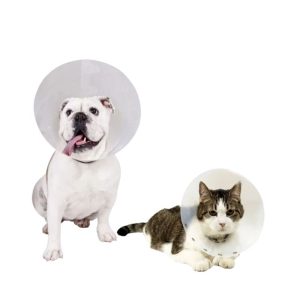 <strong>Collar Isabelino</strong> Tradicional para Perros y Gatos, talla desde 7,5 hasta 40