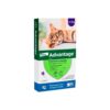 Advantage Solución Tópica, Antiparasitario Externo para Gatos, 4-8 kg, 1 pipeta de 0.8 ml (dosis mensual)