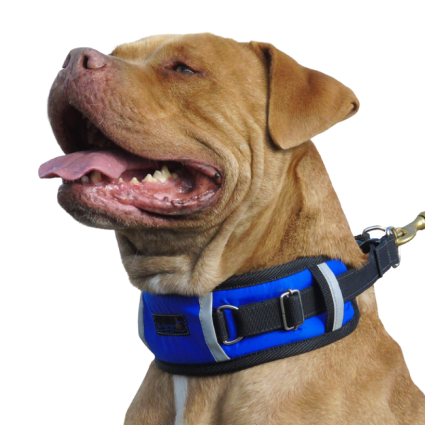 <strong>Más Perros</strong> Powerful, Collar Martingale para Perros, Refuerzo para Tirones, Variedad de Colores