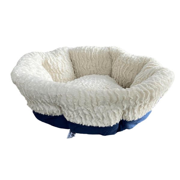 MP CAMA CHIPORRO AZUL