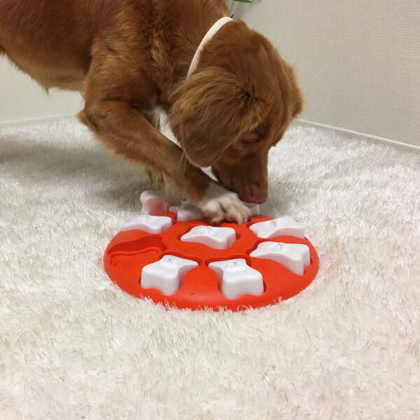NINA OTTOSSON DOG (N) LEVEL 1 PUZZLE SMART - Imagen 2