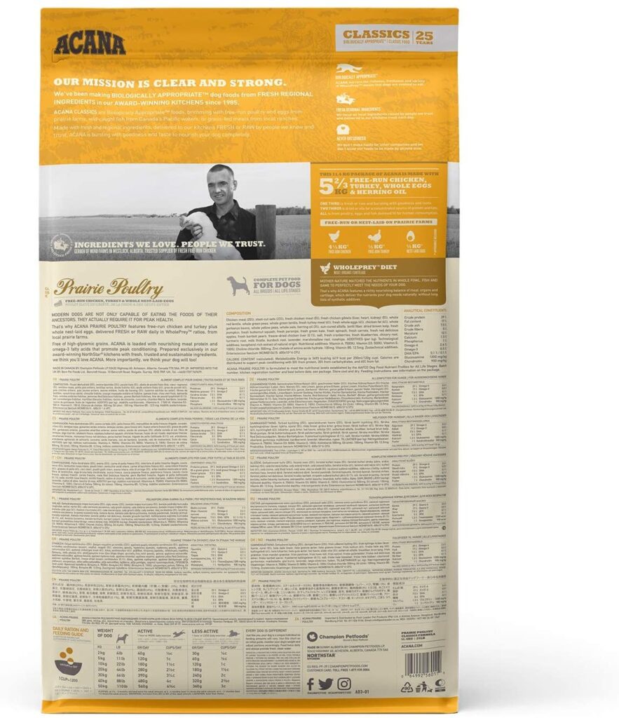 81Y-nBsuAXL._AC_SL1500_