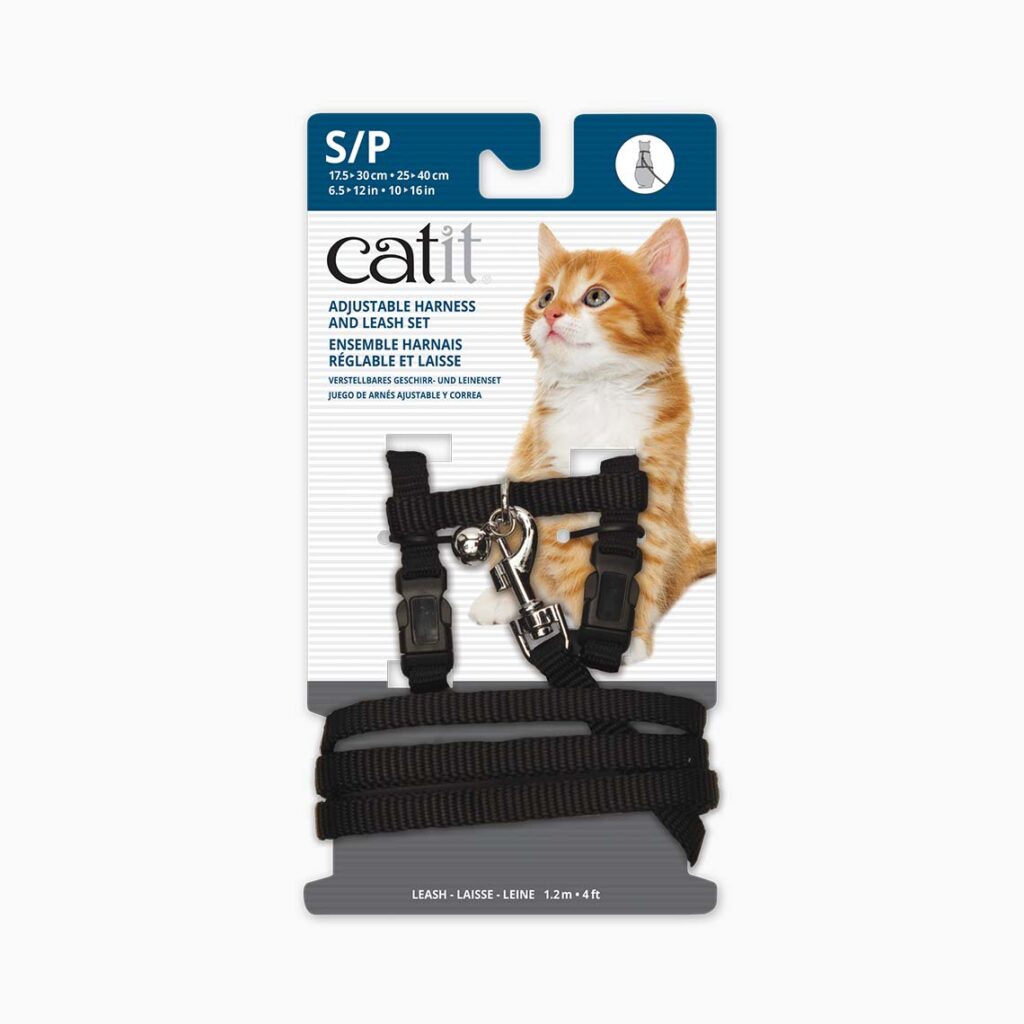 CATIT ARNES CON TRAILLA NEGRO