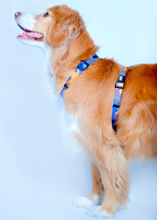 <strong>Wauke</strong> Fauna, Arnés Ajustable en H para Perros, Tallas: S, M, L - Imagen 4