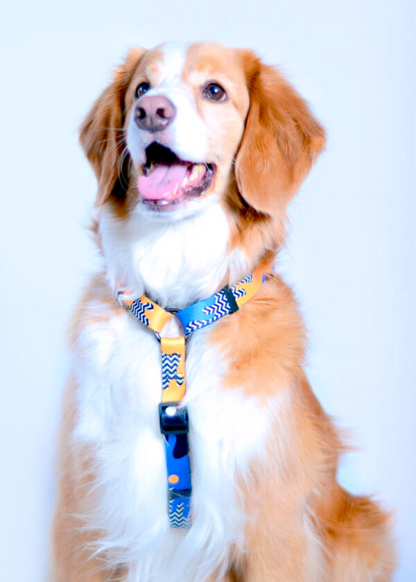 <strong>Wauke</strong> Fauna, Arnés Ajustable en H para Perros, Tallas: S, M, L - Imagen 3