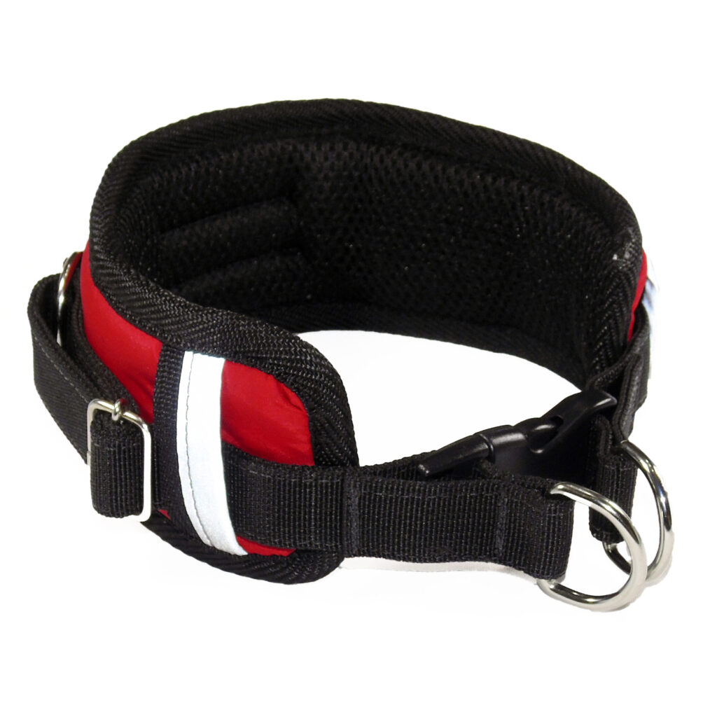Collar-Powerful-Rojo-Mas-Perros-13-scaled