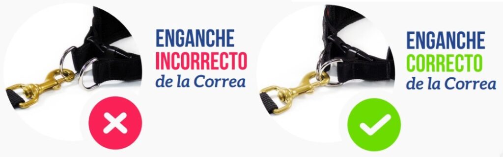 Collar-Powerfull-Ajuste-de-Correa-Mas-Perros