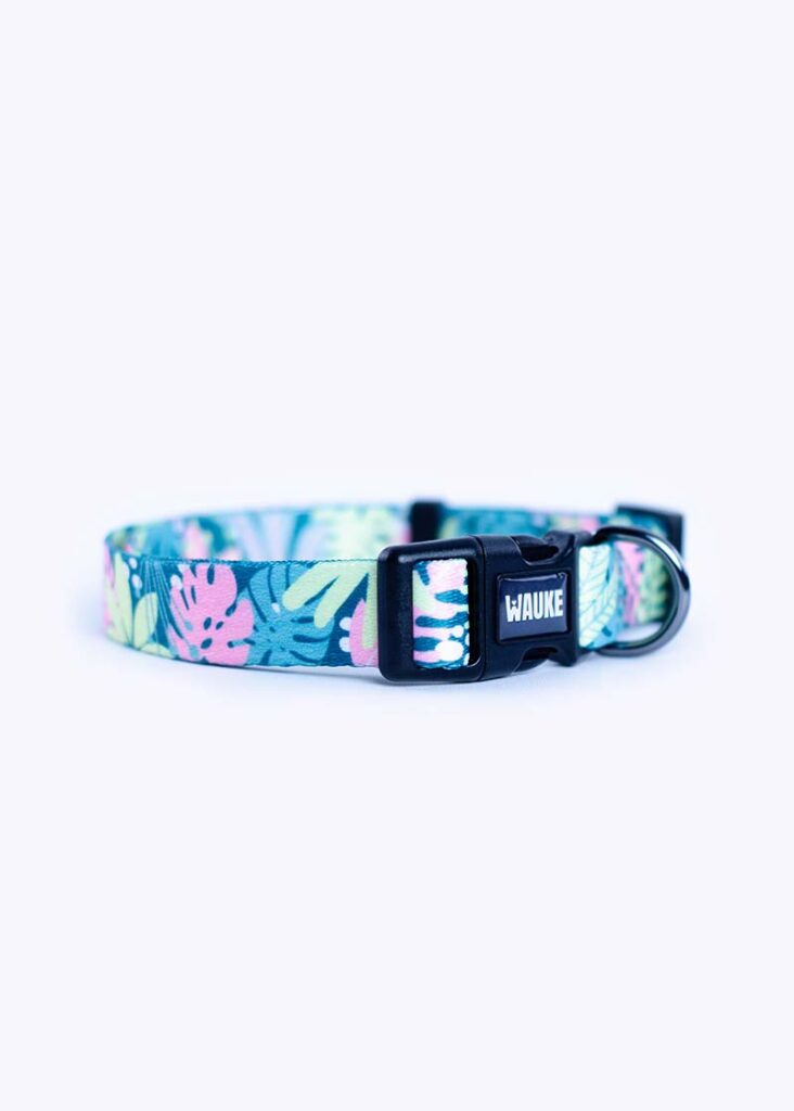 <strong>Wauke</strong> Monteverde, Collar Ajustable para Perros, Tallas: S, M, L