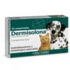 Dermisolona (Prednisolona), Antiinflamatorio y Antialérgico para Perros y Gatos, 10 comprimidos