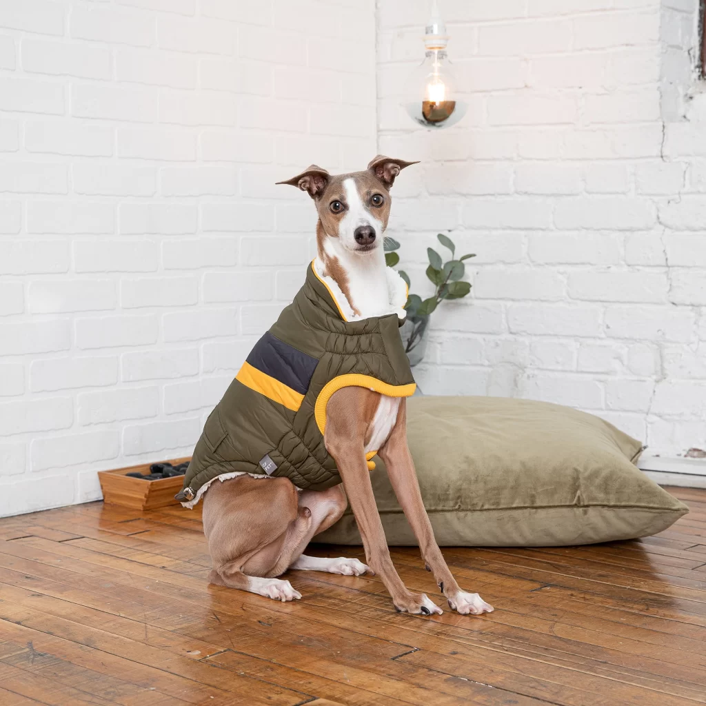 DOG-WINTER-JACKET-GFPET-ALPINE-PUFFER-KHAKI-5