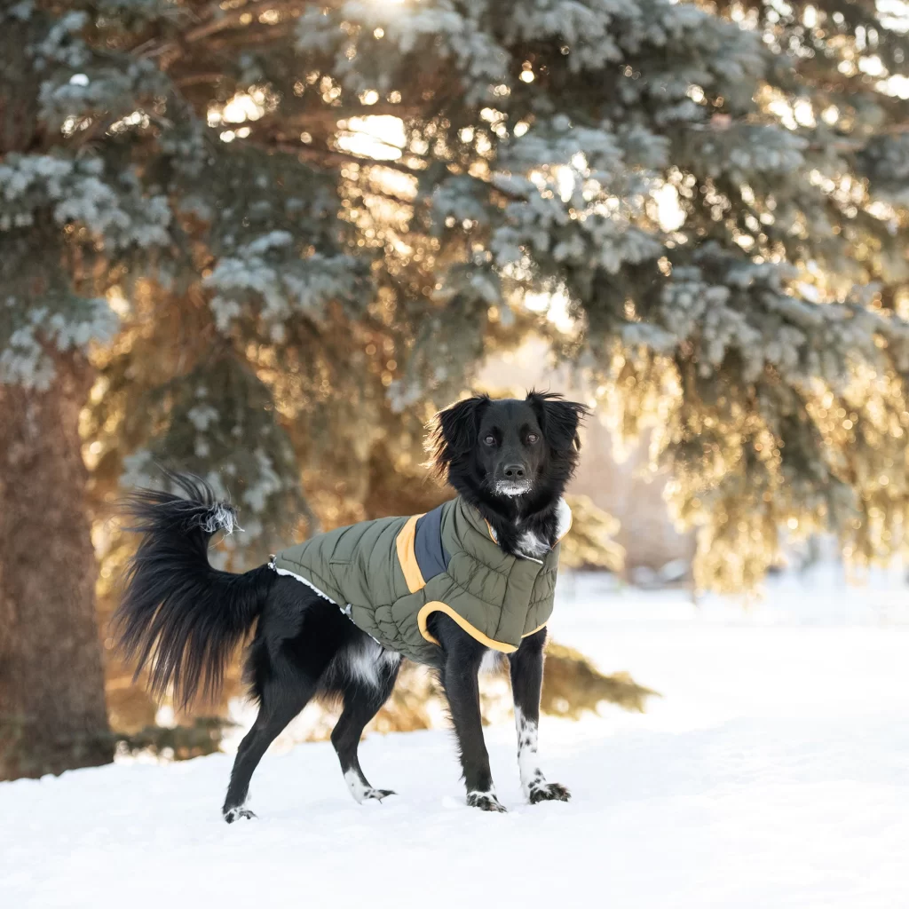DOG-WINTER-JACKET-GFPET-ALPINE-PUFFER-KHAKI-7