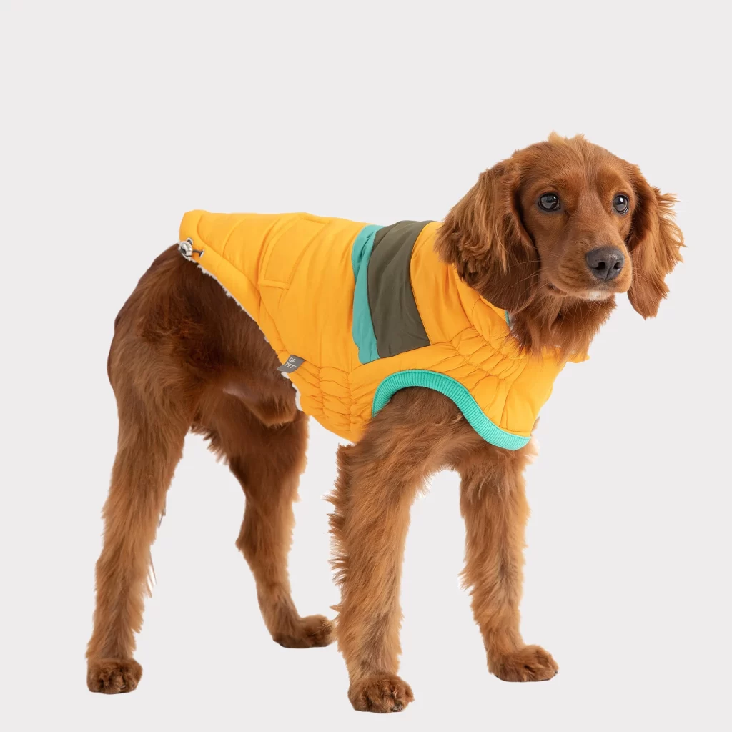 DOG-WINTER-JACKET-GFPET-ALPINE-PUFFER-YELLOW-2