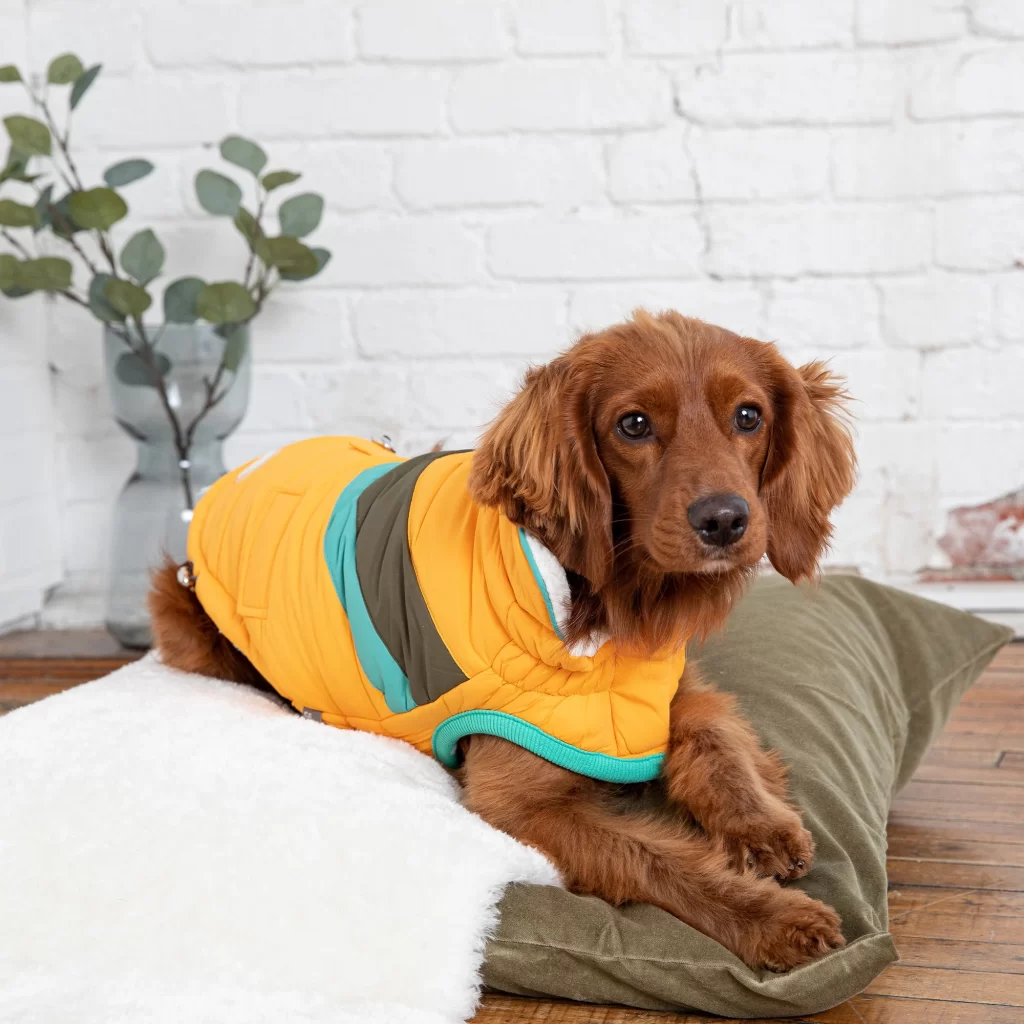DOG-WINTER-JACKET-GFPET-ALPINE-PUFFER-YELLOW-4