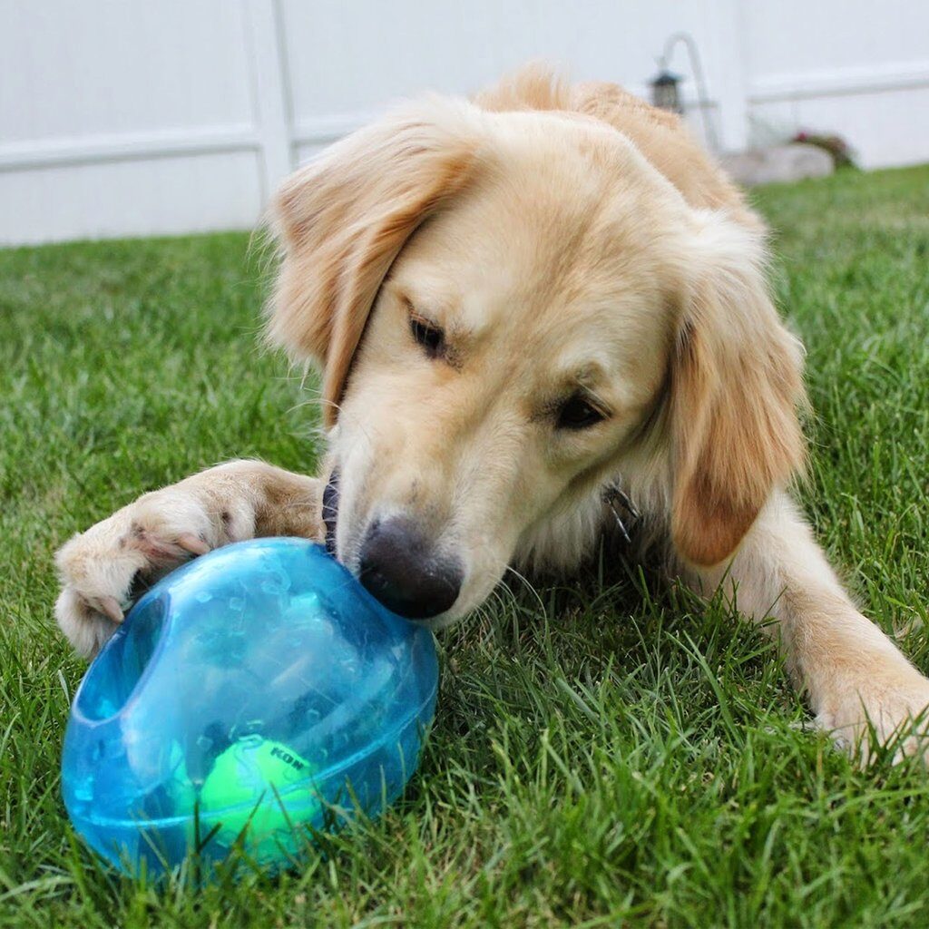 KONG-Jumbler-Perro-Mas-Perros