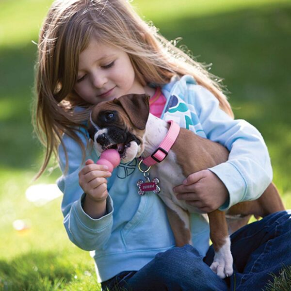 KONG PUPPY CELESTE - Imagen 6