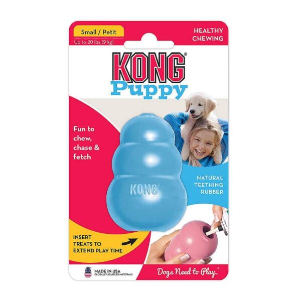KONG PUPPY CELESTE