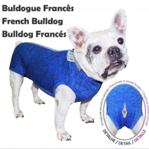 PET MED BODY CASTRACIÓN BULLDOG FRANCÉS