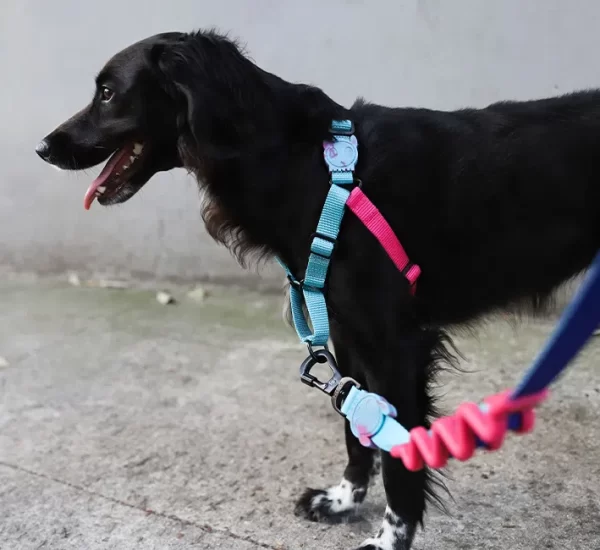 <strong>Zeedog</strong> Soft Walk Hydra Arnés Anti-Tirones para Perros - Imagen 3