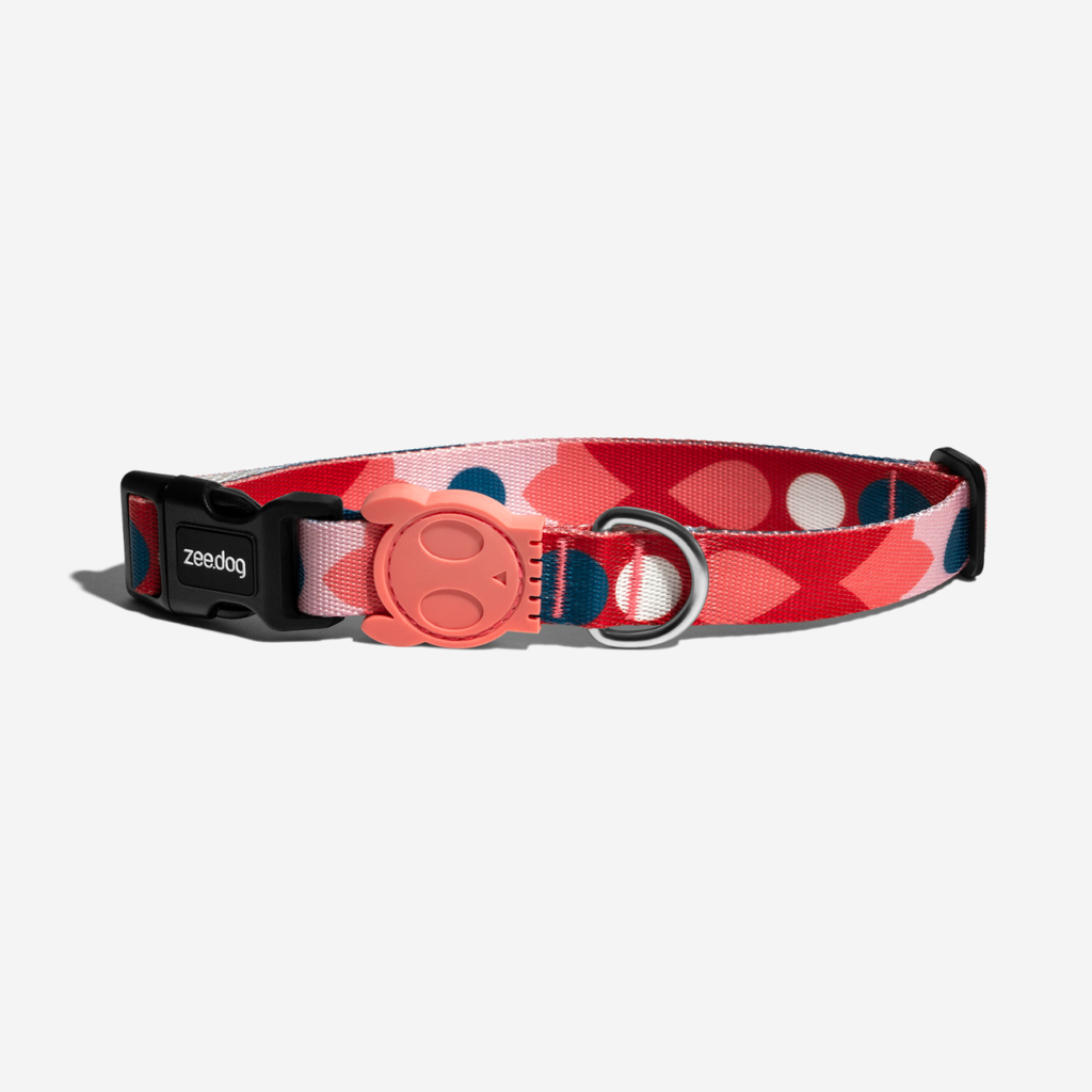 <strong>Zeedog</strong> Samé, Collar Ajustable de Polyester para Perros, Tallas: XS, S, M, L