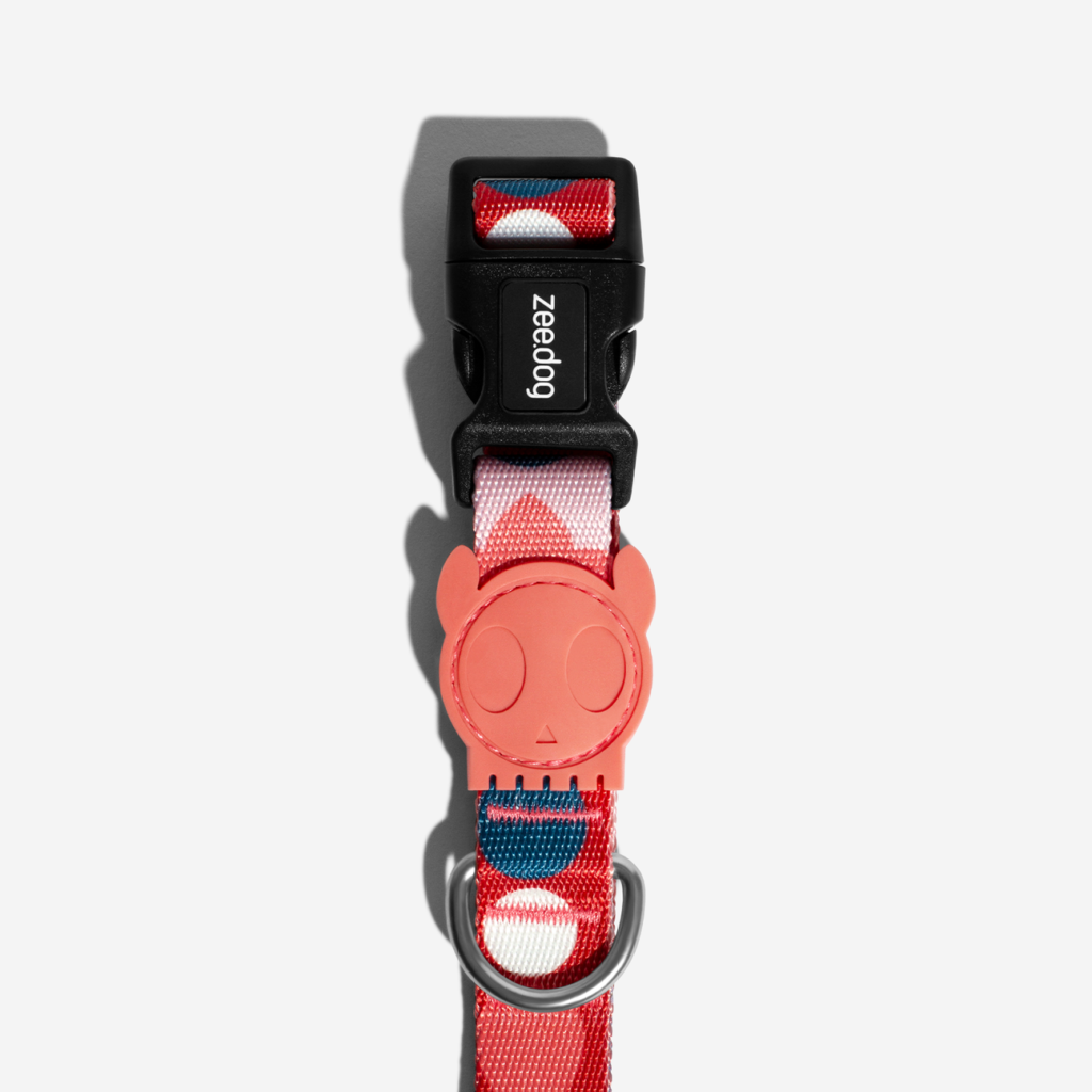dog-collar-marrakesh-same-zeedog-pet_main-2_1296x