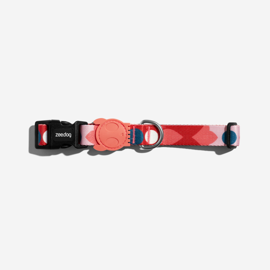 dog-collar-marrakesh-same-zeedog-pet_main-3_1296x