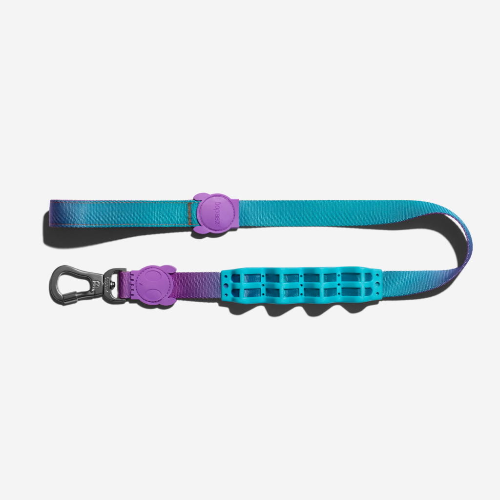 guia-com-amortecedor-para-cachorros-ruff-gradients-degrade-wave-zeedog-cachorro-pet_main-5_1296x