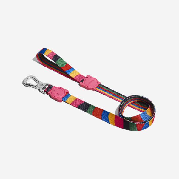 <strong>Zee.Dog</strong> Chroma, Correa de Polyester Suave para Perros, Tallas: XS, S, L - Imagen 2