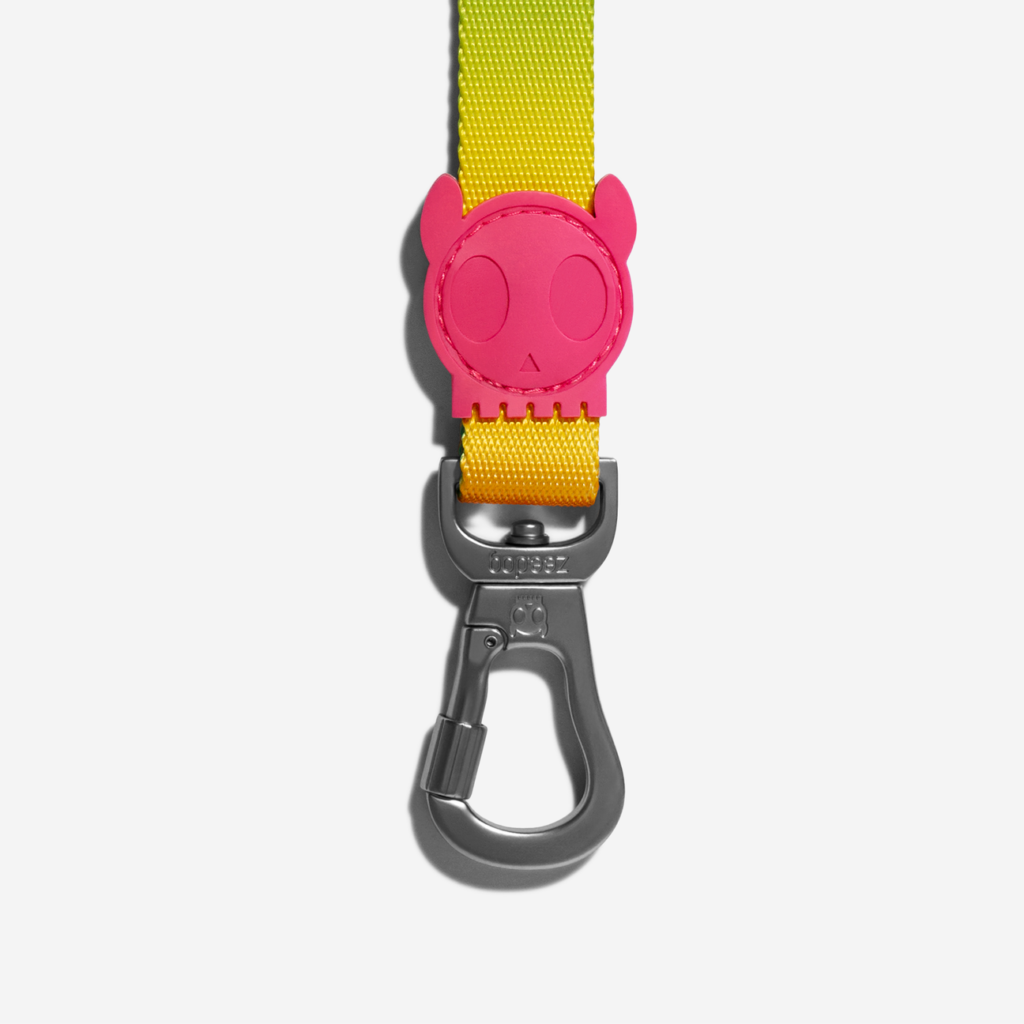 guia-para-cachorros-gradients-degrade-citrus-zeedog-cachorro-pet_main-2_1296x