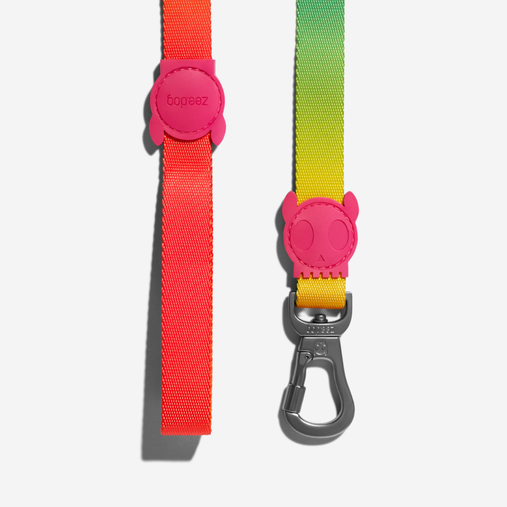 guia-para-cachorros-gradients-degrade-citrus-zeedog-cachorro-pet_main-3_1296x