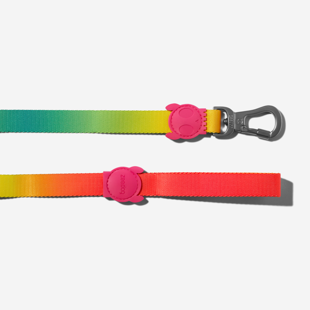 guia-para-cachorros-gradients-degrade-citrus-zeedog-cachorro-pet_main-5_1296x