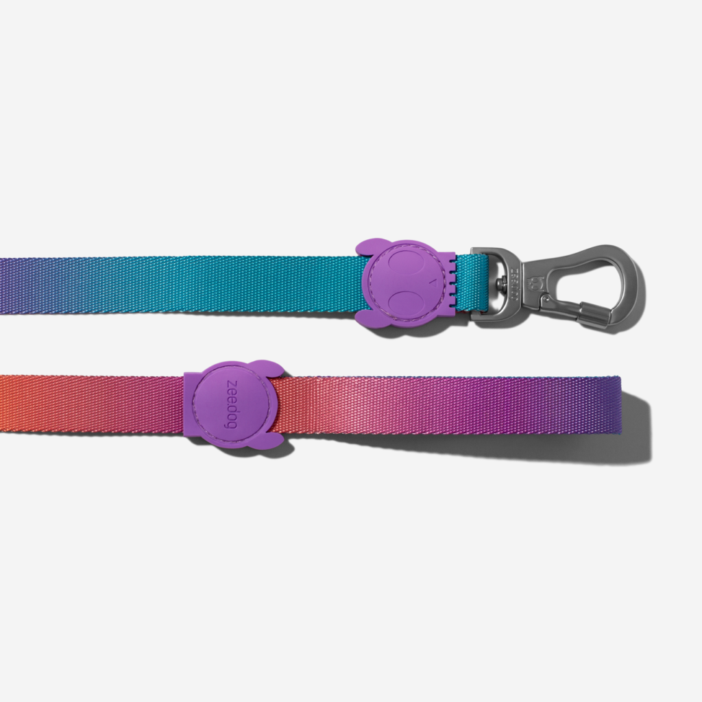 guia-para-cachorros-gradients-degrade-wave-zeedog-cachorro-pet_main-5_1296x