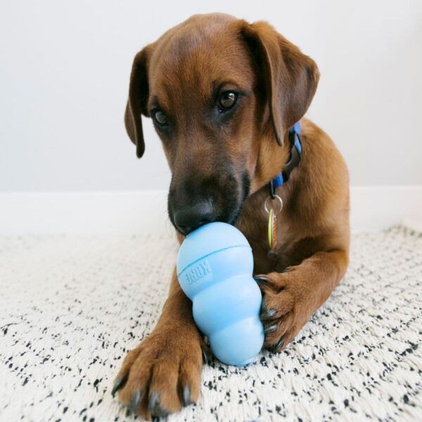 KONG PUPPY CELESTE - Imagen 2
