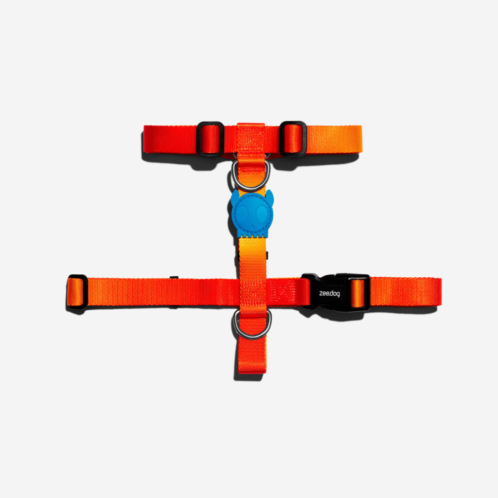 <strong>Zee.Dog</strong> Solaris Arnés en H para Perros