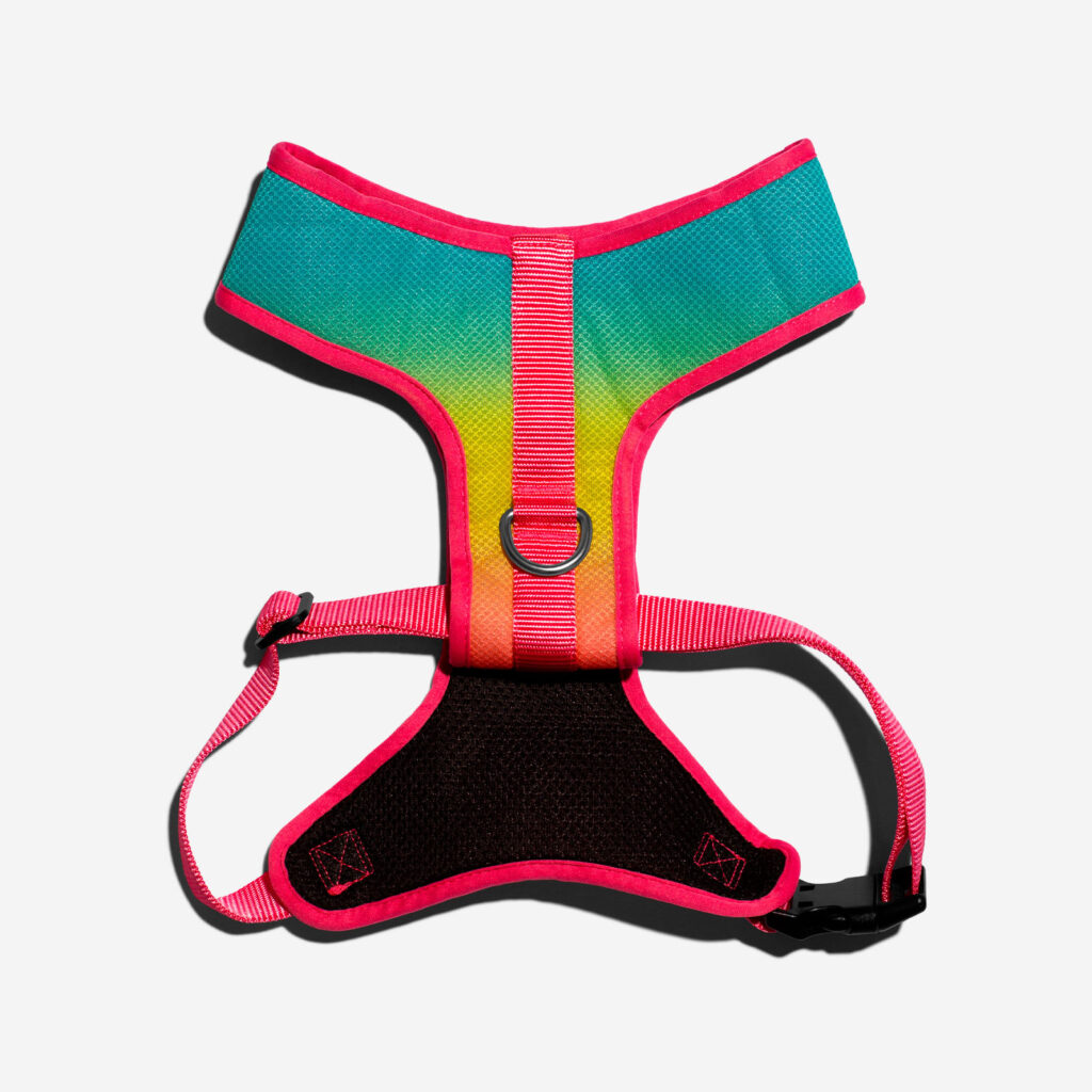 peitoral-para-cachorros-mesh-plus-gradients-degrade-citrus-zeedog-cachorro-pet-main-3