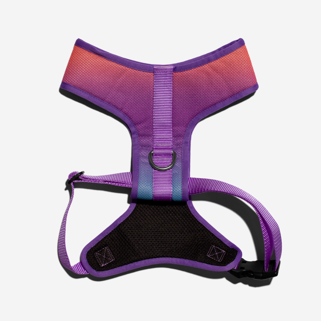 peitoral-para-cachorros-mesh-plus-gradients-degrade-wave-zeedog-cachorro-pet_main-2_1296x