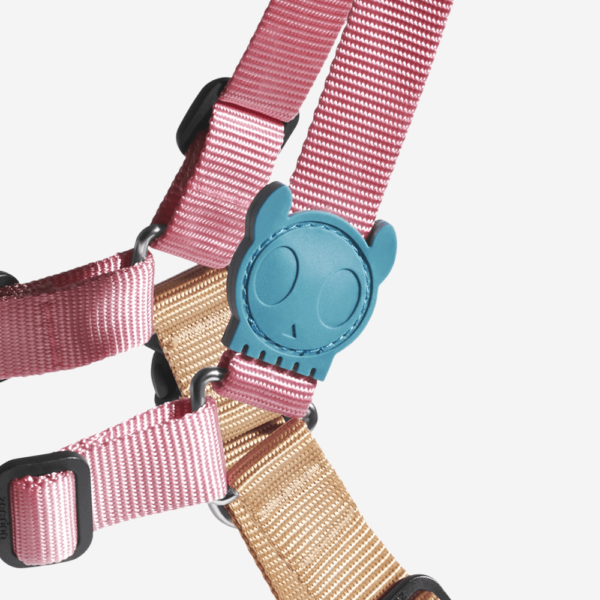 <strong>Zeedog</strong> Soft Walk Jelly Arnés Anti-Tirones para Perros - Imagen 3