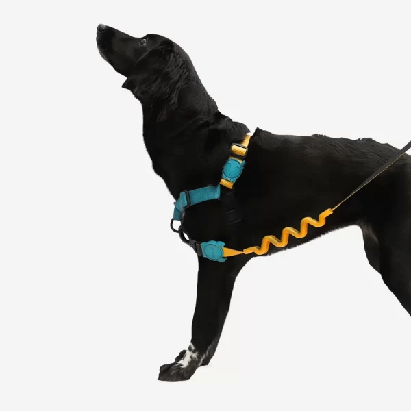 <strong>Zeedog</strong> Soft Walk Valley Arnés Anti-Tirones para Perros - Imagen 3