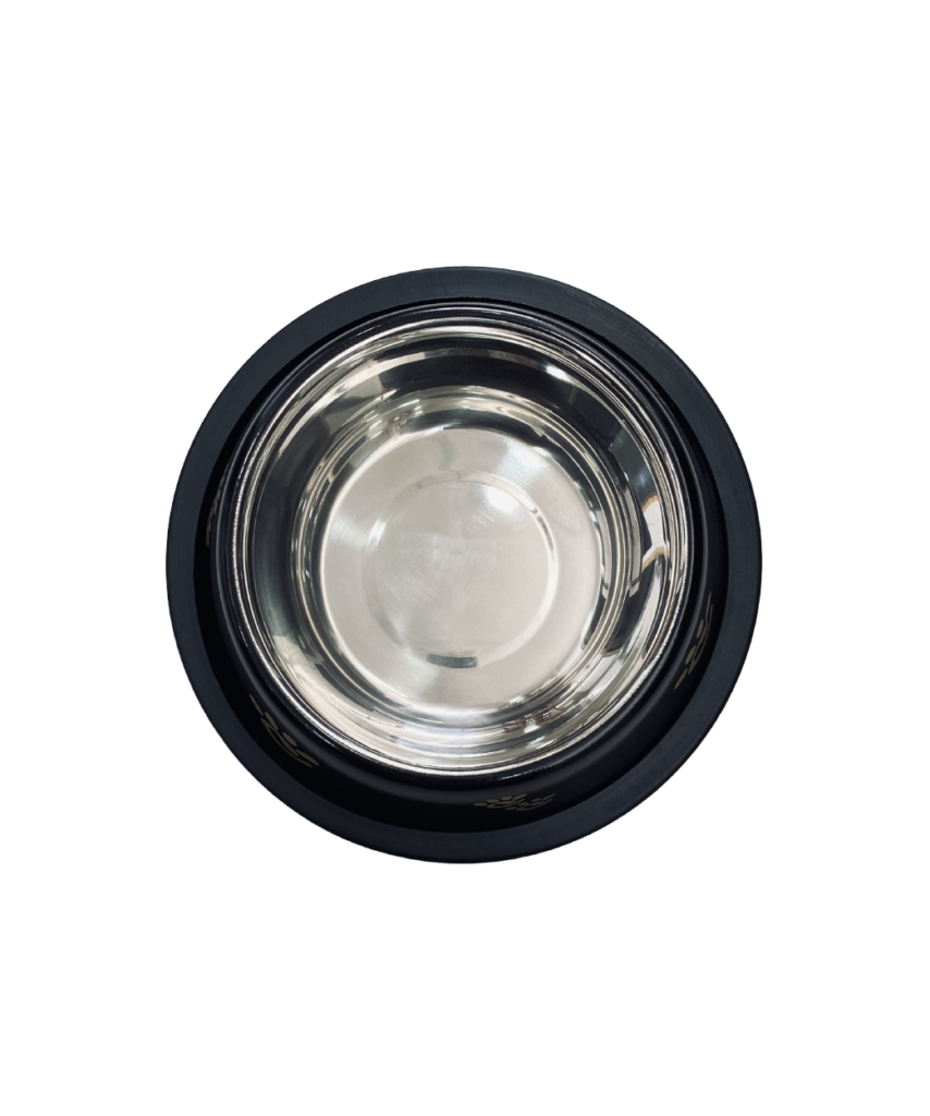 platosperro-23