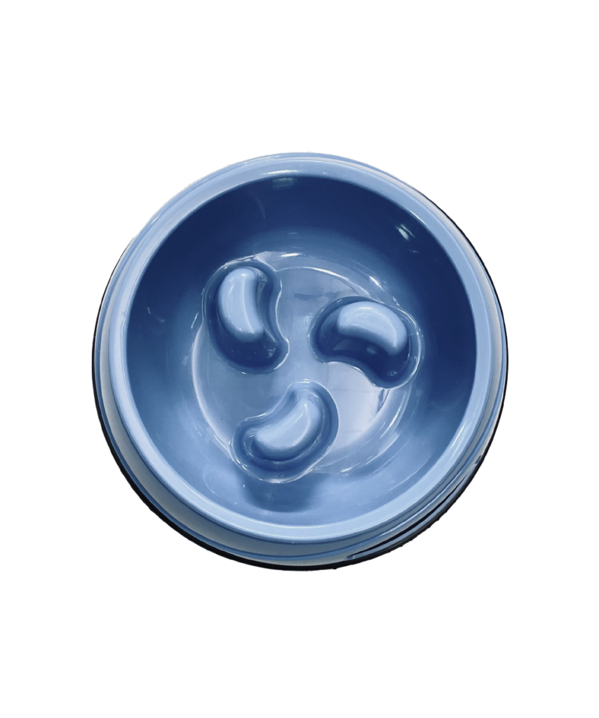 platosperro-29