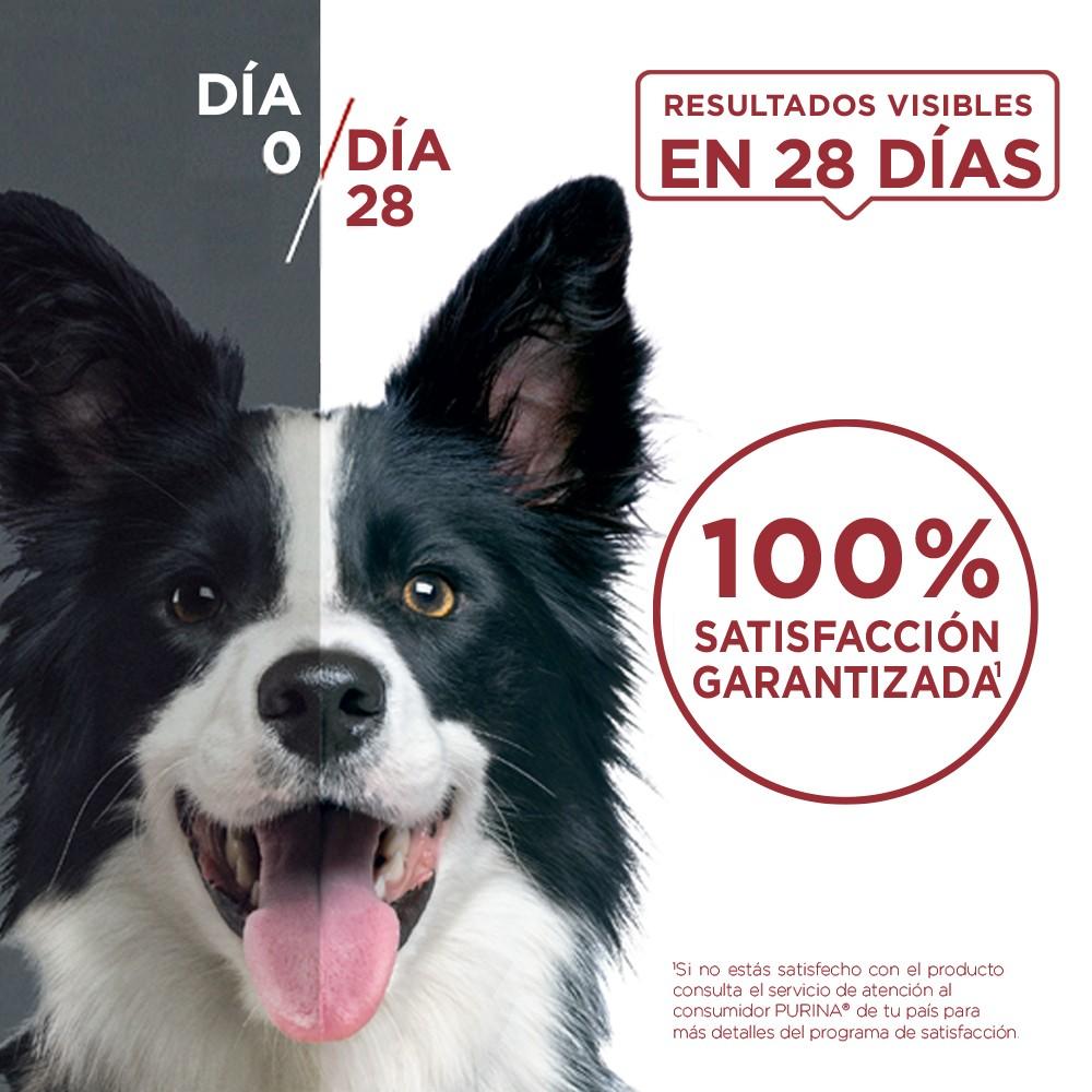 purina_one_adultos_medianos_y_grandes_pollo_y_cordero_6