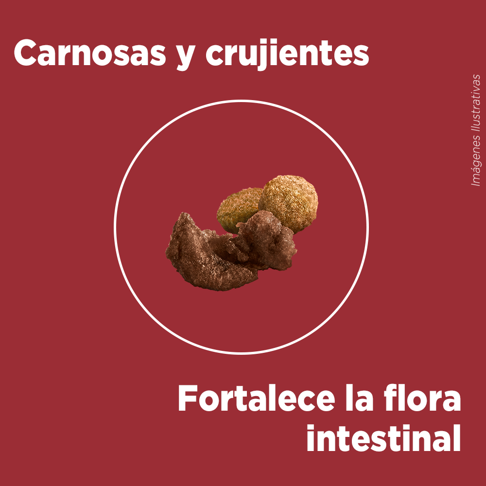 purina_one_adultos_minis_y_pequenos_pollo_y_cordero_05