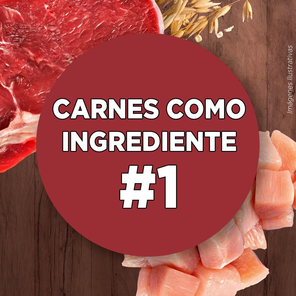 purina_one_adultos_minis_y_pequenos_pollo_y_cordero_4
