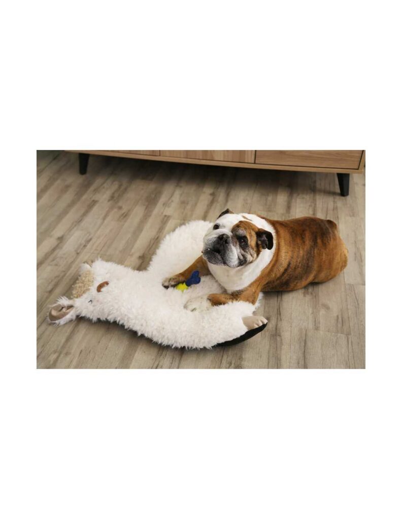 pw-hey-cama-de-perro-65-x-72-x-6-cm-2