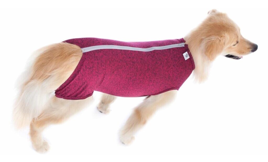 ropa-post-quirurgica-machos-y-hembras-pet-med-talla-4-D_NQ_NP_874288-MPE32064545129_092019-F