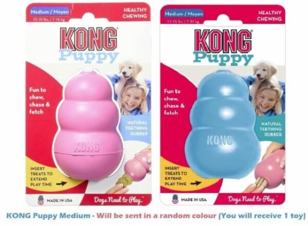 KONG PUPPY CELESTE - Imagen 10