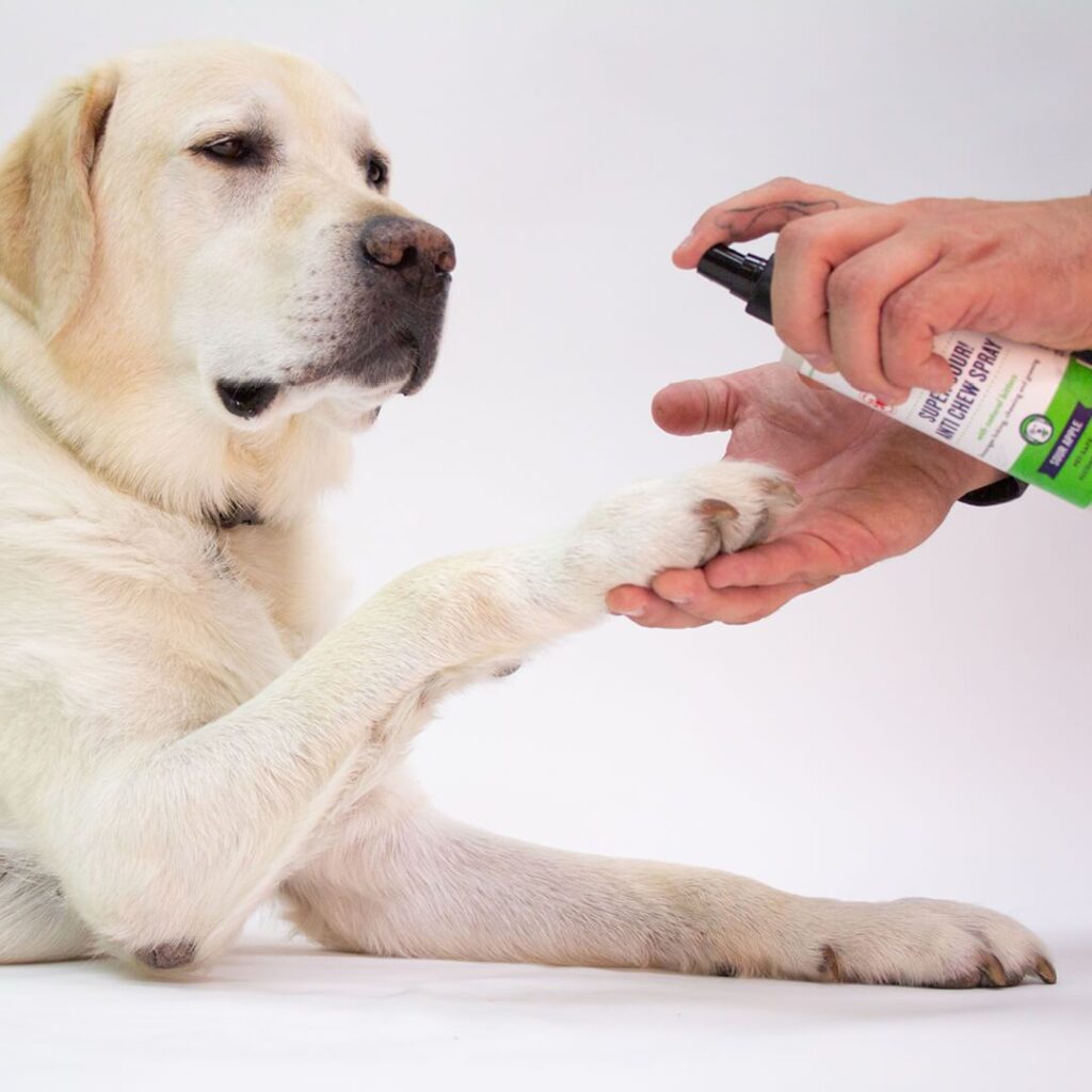 super-sour-anti-chew-spray-963704_1800x1800