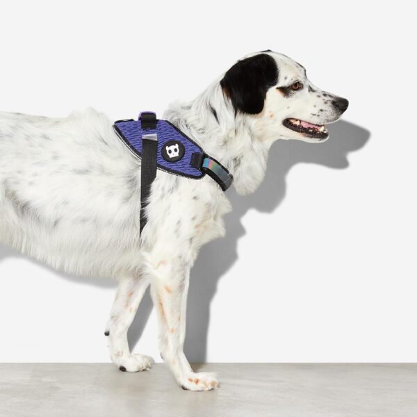 <strong>Zeedog</strong> Wicked FlyHarness Arnés Ultraligero para Perros - Imagen 2