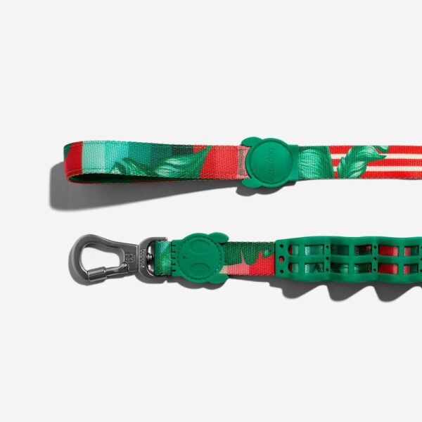 <strong>Zeedog</strong> Ruff Leash Bali, Correa Anti-Tirones de Polyester Suave de Alta Resistencia para Perros, Tallas: S, L - Imagen 3